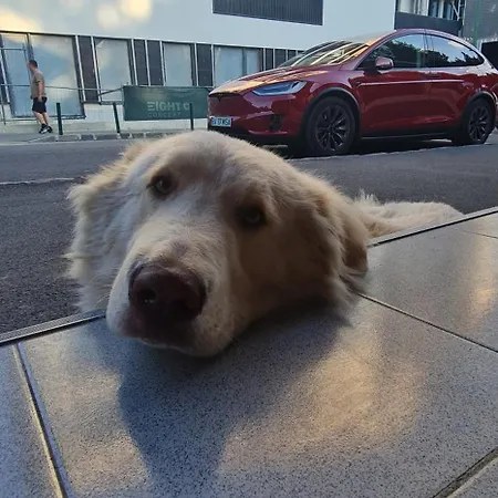 Appartement Hanul Din Poiana Poiana Brasov