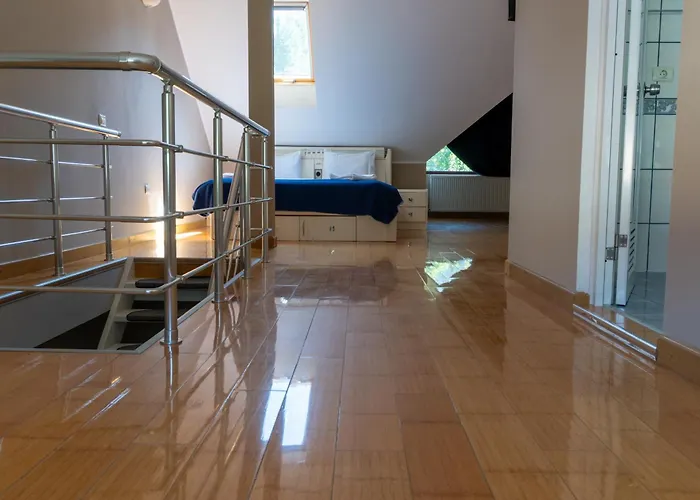 Apartment Hanul Din Poiana *